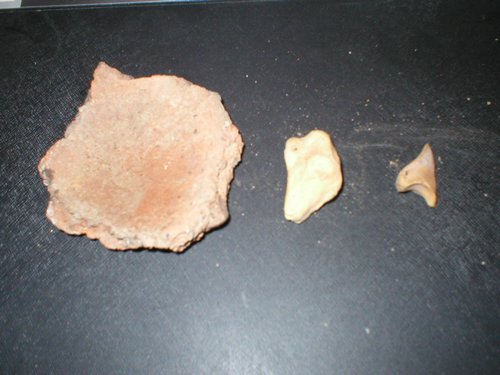 111P1010003.JPG